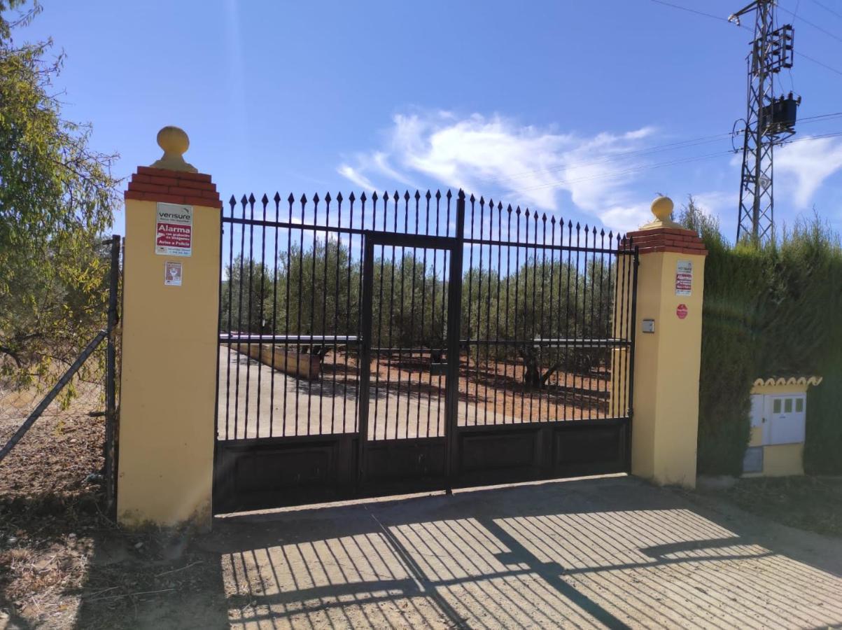 Setenil De Las Bodegas Los Abuelos מראה חיצוני תמונה
