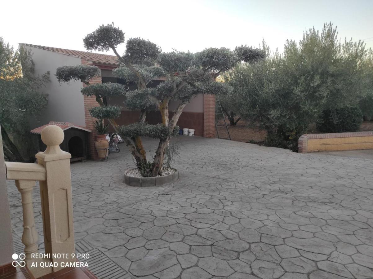 Setenil De Las Bodegas Los Abuelos מראה חיצוני תמונה
