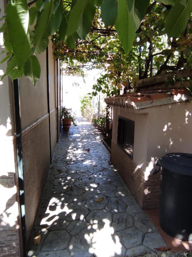 Setenil De Las Bodegas Los Abuelos מראה חיצוני תמונה