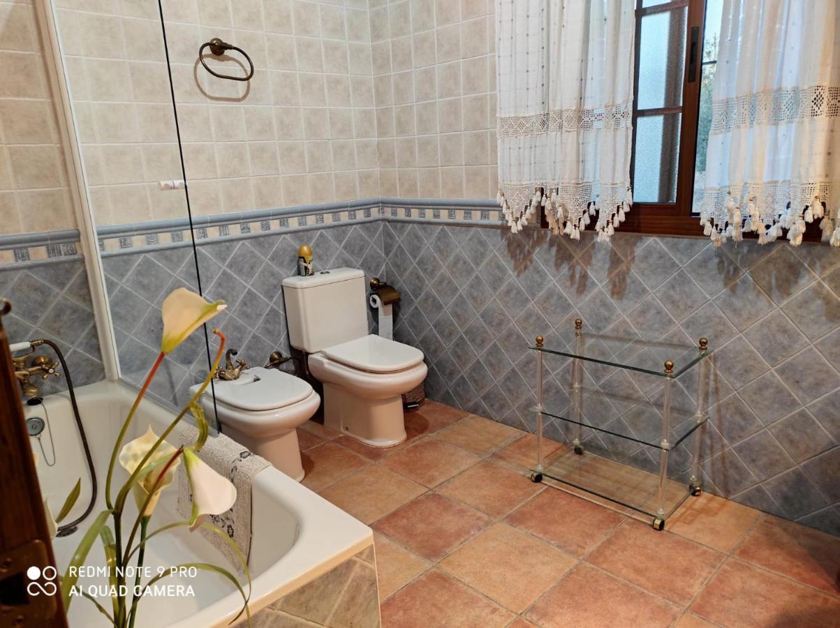 Setenil De Las Bodegas Los Abuelos מראה חיצוני תמונה