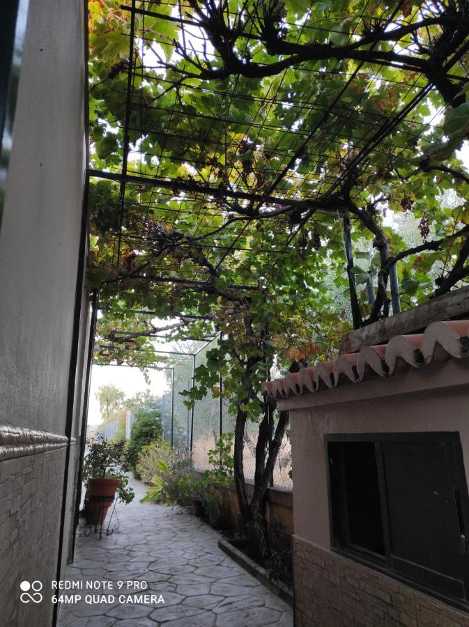 Setenil De Las Bodegas Los Abuelos מראה חיצוני תמונה