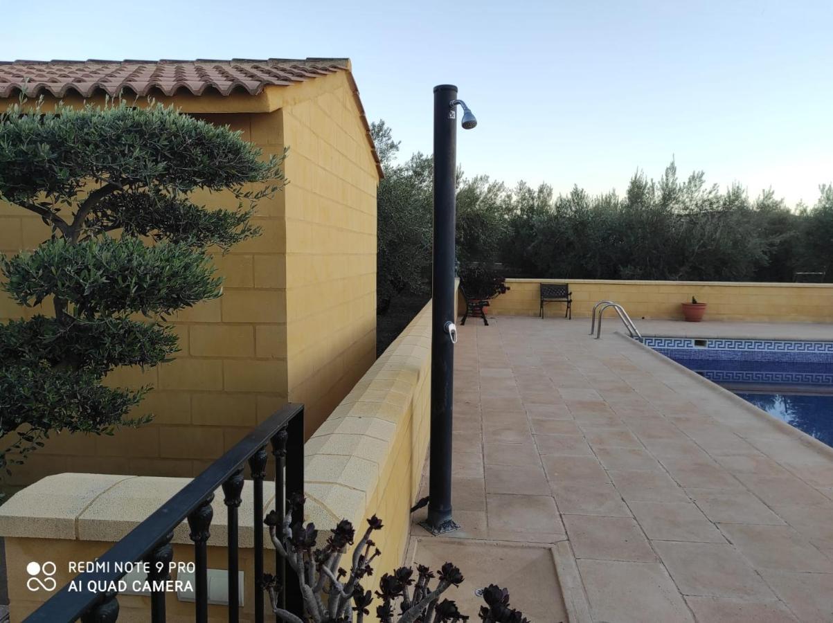 Setenil De Las Bodegas Los Abuelos מראה חיצוני תמונה